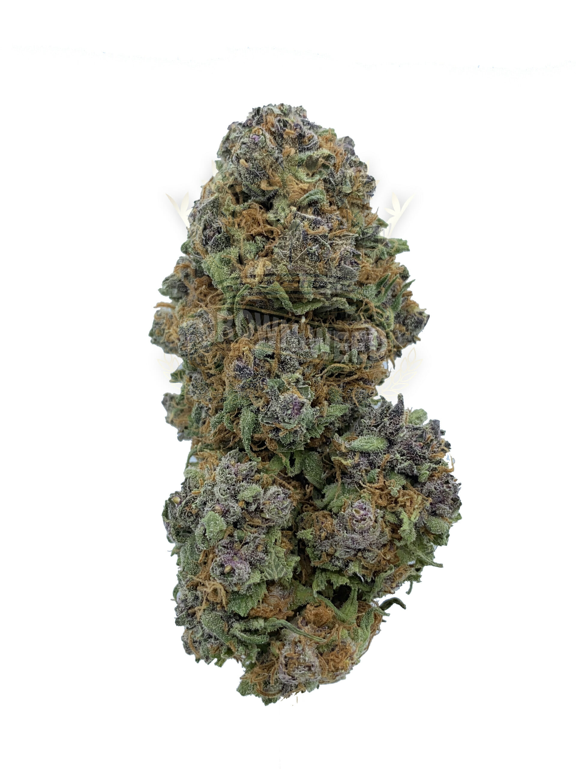 Guarantee the quality of your products in dispensary weed cannabis.