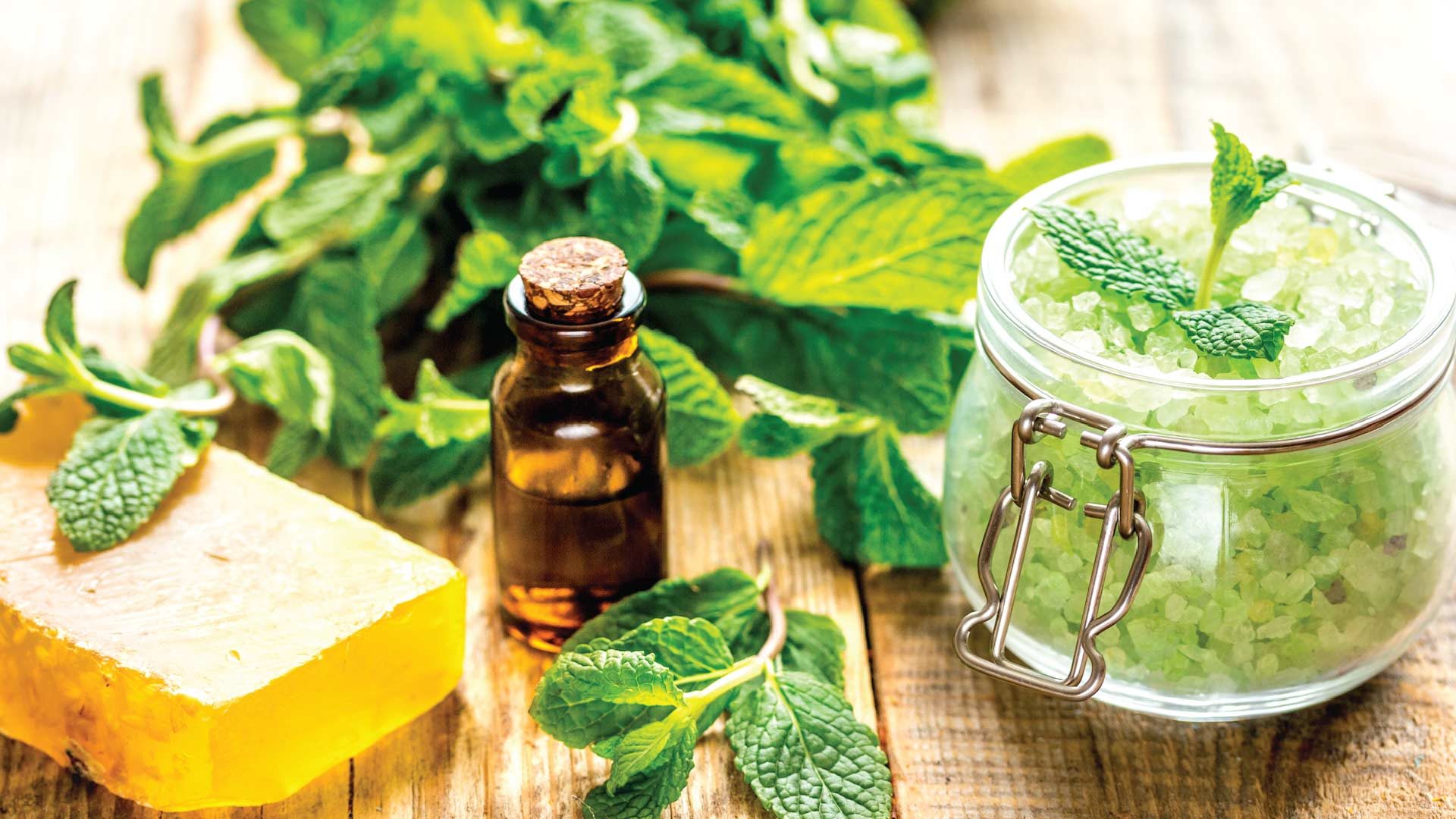 Cannabidiol: The Nature’s Wonder Drug