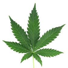 CBD and Unknown  Facts Relating to It