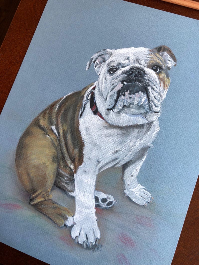 To acquire some pet paintings on Mii Artistic, you have to publish a photograph of him
