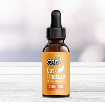 The Benefits of Giving Your Cat CBD-Infused Treats