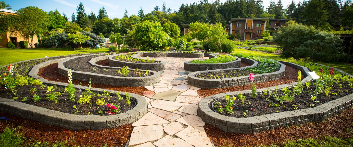 Questions to Ask Before Hiring a Landscape Design and Construction Firm